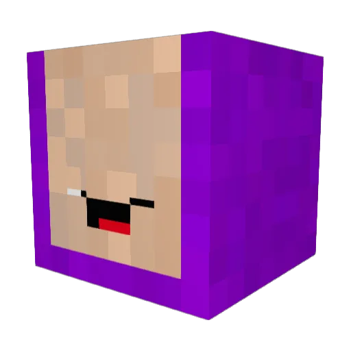 Ecllipse Minecraft avatar head, 3D render