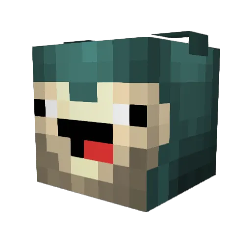 Ecnerwal0710 Minecraft avatar head, 3D render