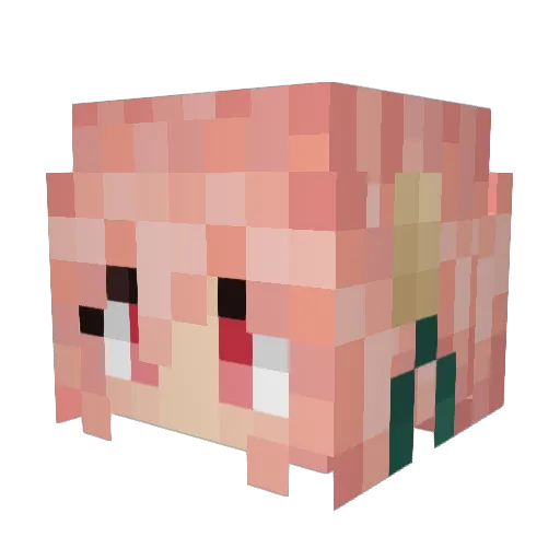 EcoDragonar Minecraft avatar head, 3D render
