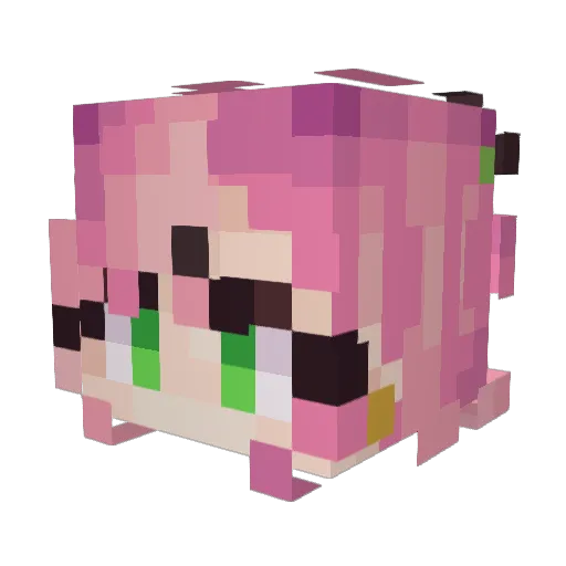 EcoNeko Minecraft avatar head, 3D render