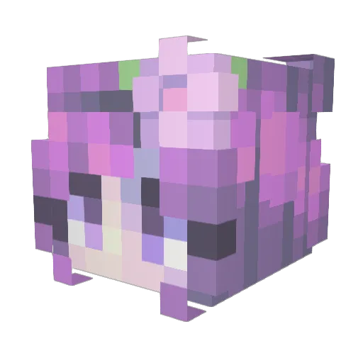 Eco_1310 Minecraft avatar head, 3D render