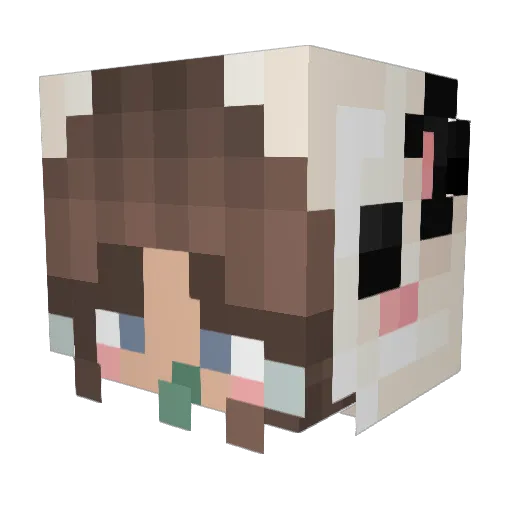 Ecobloom Minecraft avatar head, 3D render