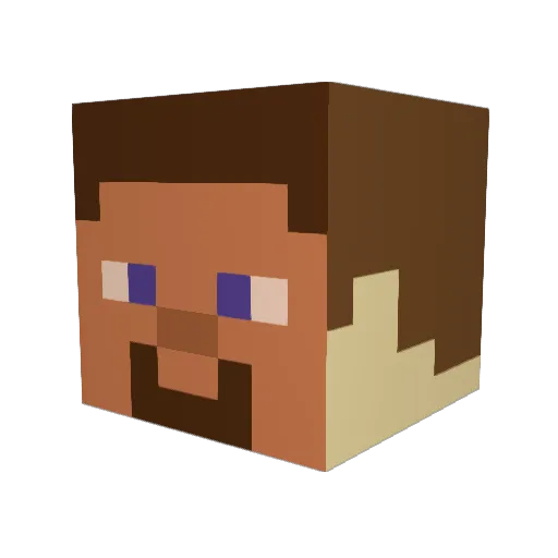 Ecocaster Minecraft avatar head, 3D render