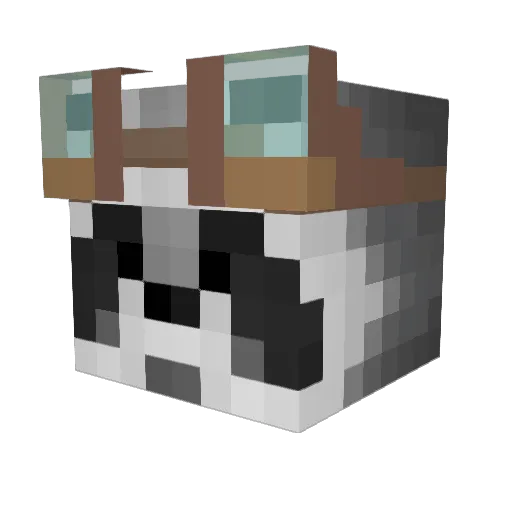 Ecodude Minecraft avatar head, 3D render