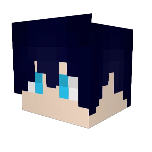 Ecoist Minecraft avatar head, 3D render