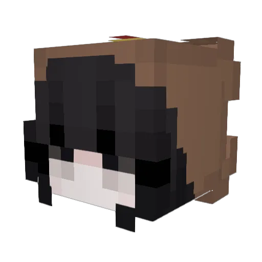 Ecok14 Minecraft avatar head, 3D render