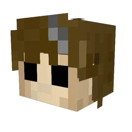 Ecoop_ Minecraft avatar head, 3D render