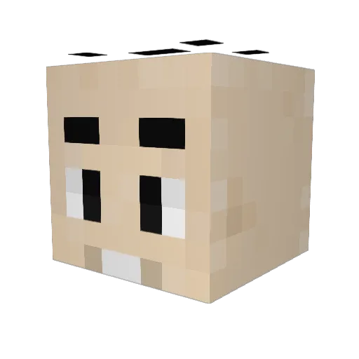 Minecraft-Avatar von Ecopeur: Kopf als 3D-Render