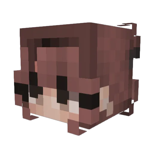 Ecorous Minecraft avatar head, 3D render
