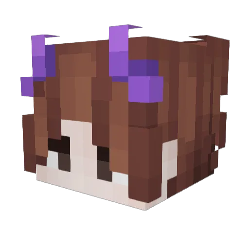 Ecrue Minecraft avatar head, 3D render