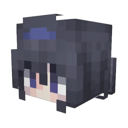 Ectaw Minecraft avatar head, 3D render