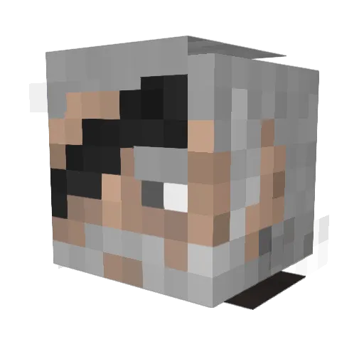 EctoLium Minecraft avatar head, 3D render