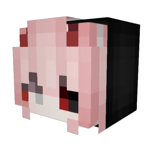 Ecuacion Minecraft avatar head, 3D render