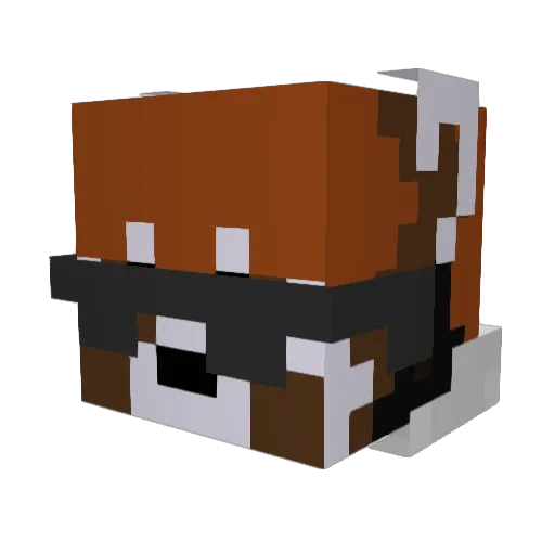 Ecxros Minecraft avatar head, 3D render