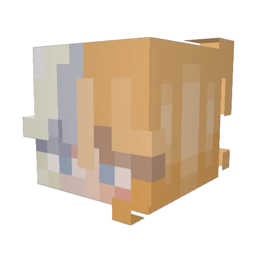 Ed0wawa Minecraft avatar head, 3D render