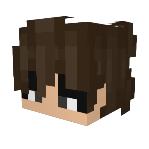 EdT0Dop3 Minecraft avatar head, 3D render