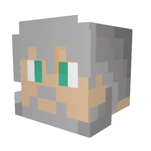Edanfi Minecraft avatar head, 3D render