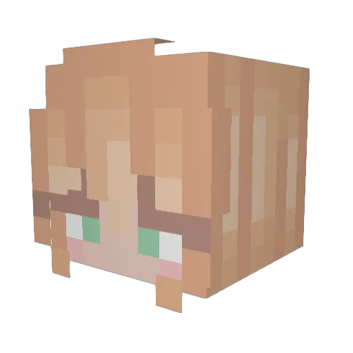 Edawg07 Minecraft avatar head, 3D render