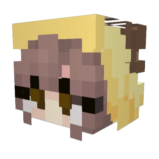 Edaxoxo Minecraft avatar head, 3D render