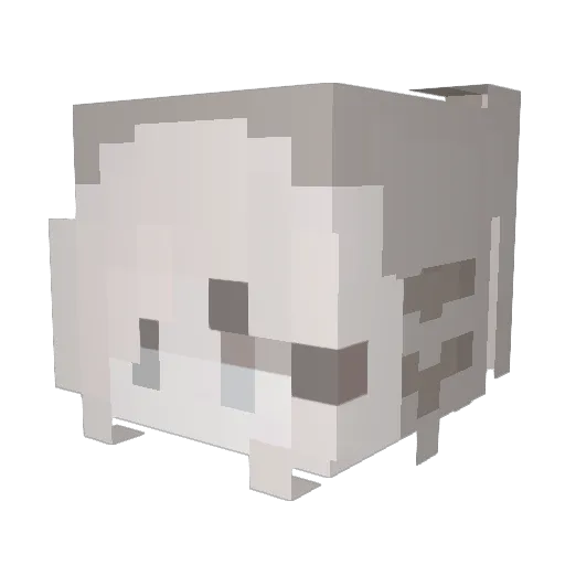 EddswTord Minecraft avatar head, 3D render