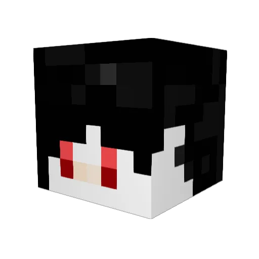 Eddy07 Minecraft avatar head, 3D render
