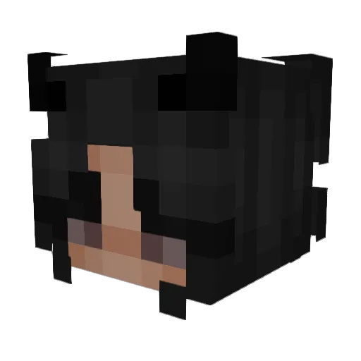 Eddy0_0 Minecraft avatar head, 3D render