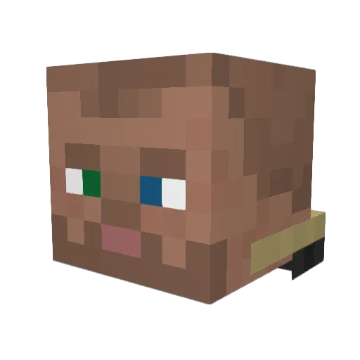 EddyTroy Minecraft avatar head, 3D render
