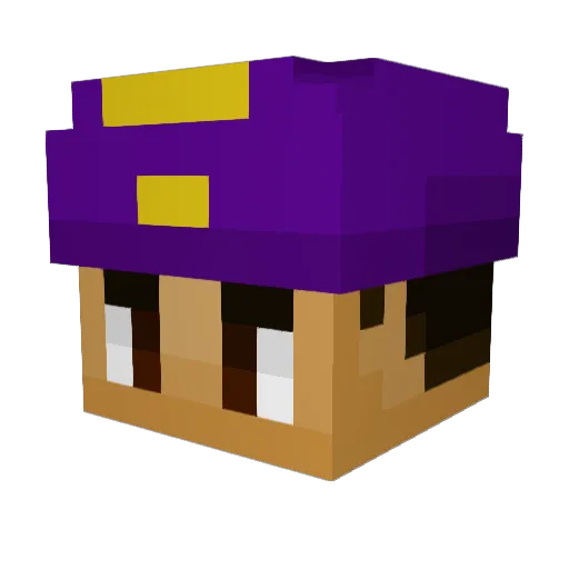 Ede1We1ss Minecraft avatar head, 3D render