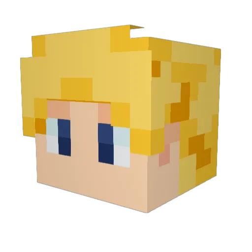 Edelnick12 Minecraft avatar head, 3D render