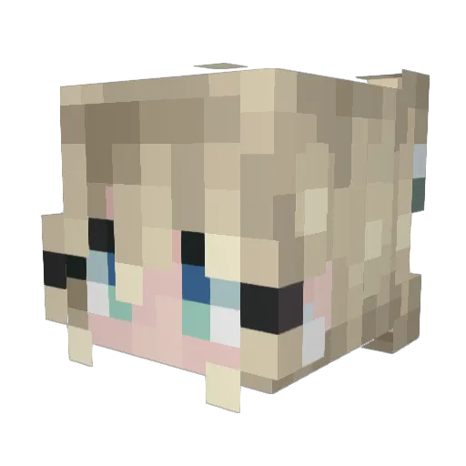 Eden0108 Minecraft avatar head, 3D render