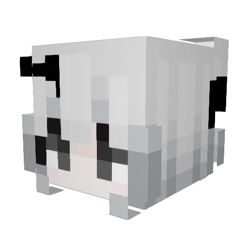 Eden0801 Minecraft avatar head, 3D render