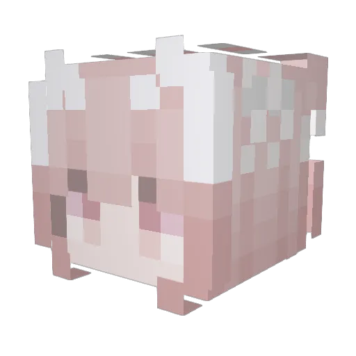 Eden520 Minecraft avatar head, 3D render