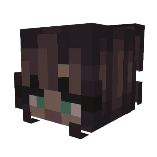 EdenMochi Minecraft avatar head, 3D render