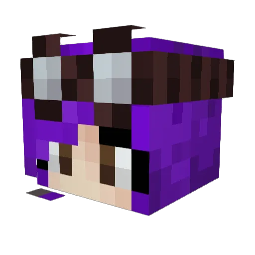 Edenstar Minecraft avatar head, 3D render