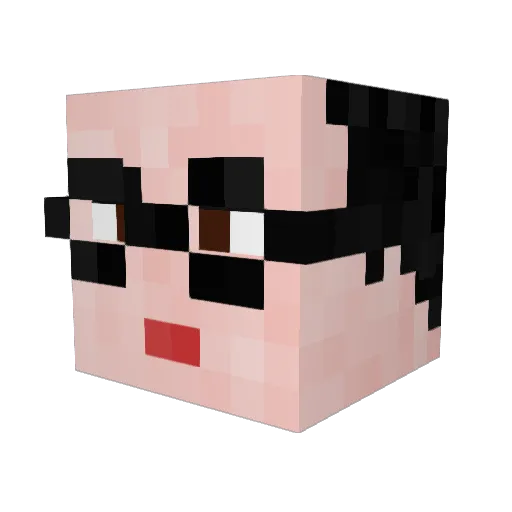 EdiVigroom69 Minecraft avatar head, 3D render