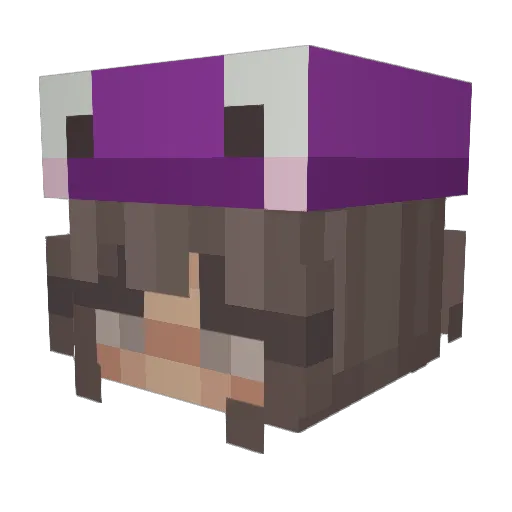 Edie27519 Minecraft avatar head, 3D render