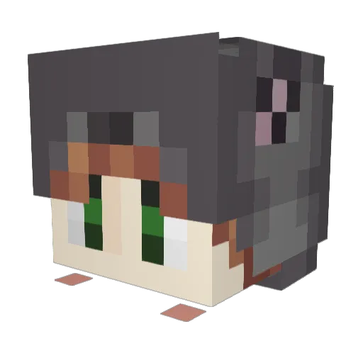 EdifiedSand6897 Minecraft avatar head, 3D render
