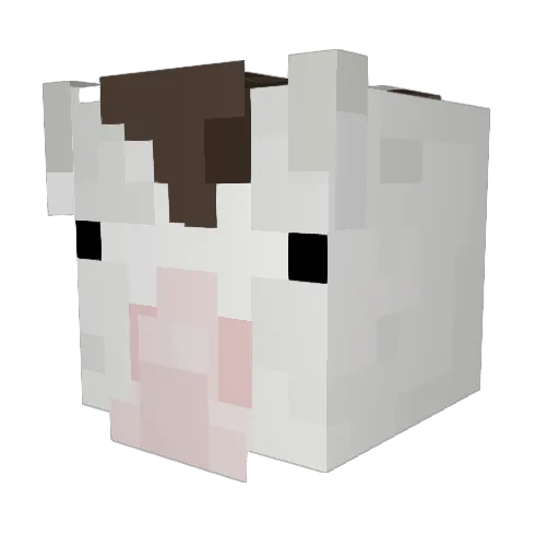 Edina2607 Minecraft avatar head, 3D render