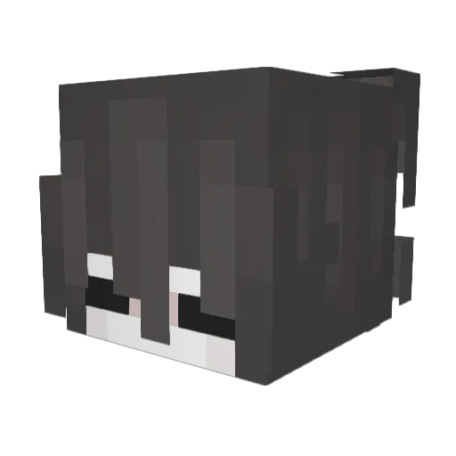 Edioa Minecraft avatar head, 3D render