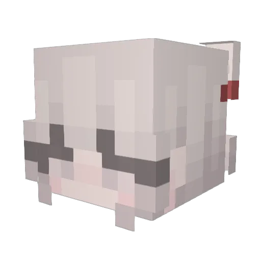 Edith5620 Minecraft avatar head, 3D render