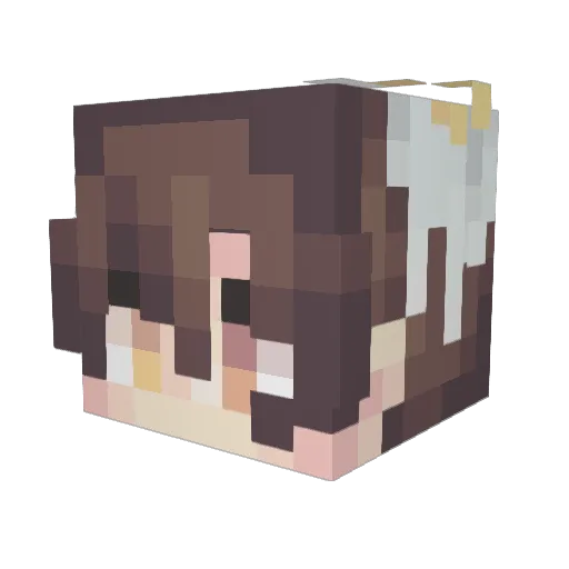 EdithHills Minecraft avatar head, 3D render