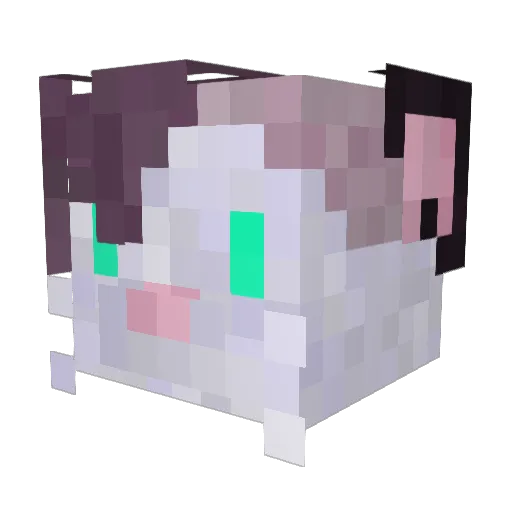 Edivad2101 Minecraft avatar head, 3D render