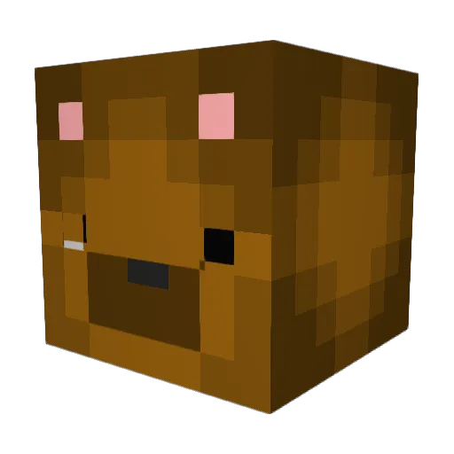 Edizzy112 Minecraft avatar head, 3D render