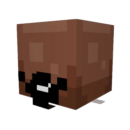 Edjipe Minecraft avatar head, 3D render