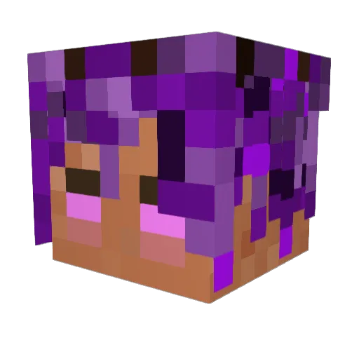 Edkira14 Minecraft avatar head, 3D render