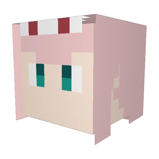 Edmiril Minecraft avatar head, 3D render