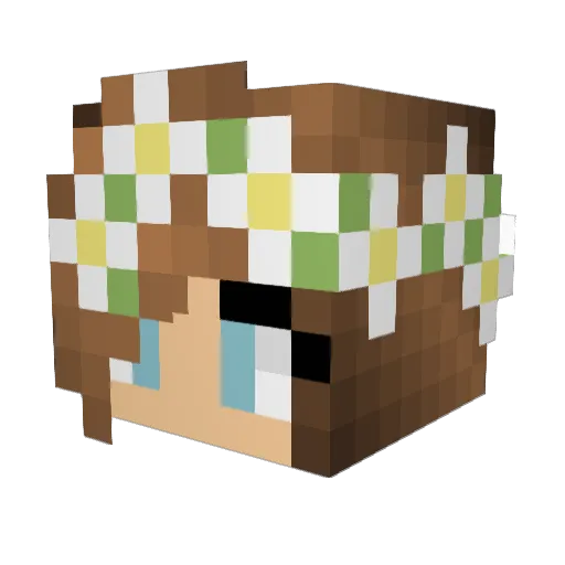 Ednajedna Minecraft avatar head, 3D render