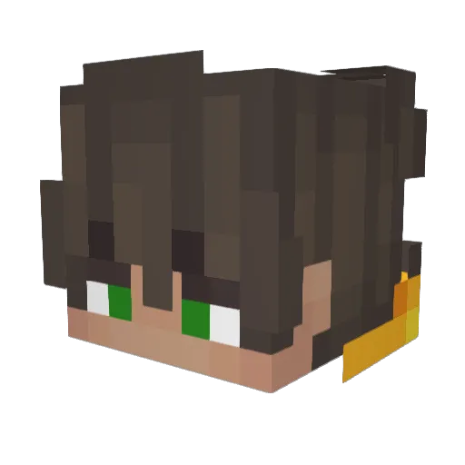 Edo_21 Minecraft avatar head, 3D render