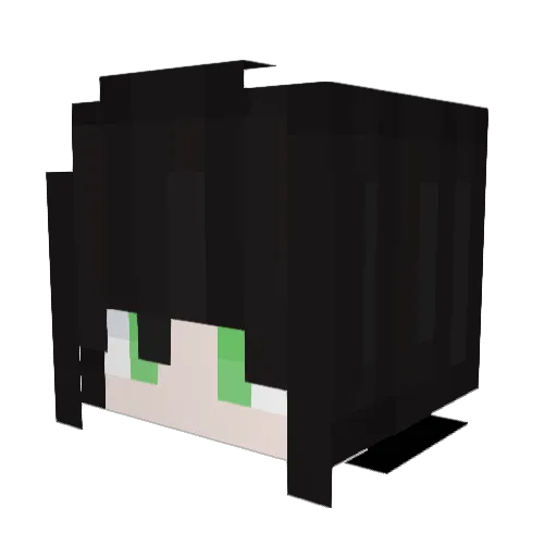 Edo_Sus Minecraft avatar head, 3D render