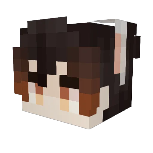 Edolphin232 Minecraft avatar head, 3D render